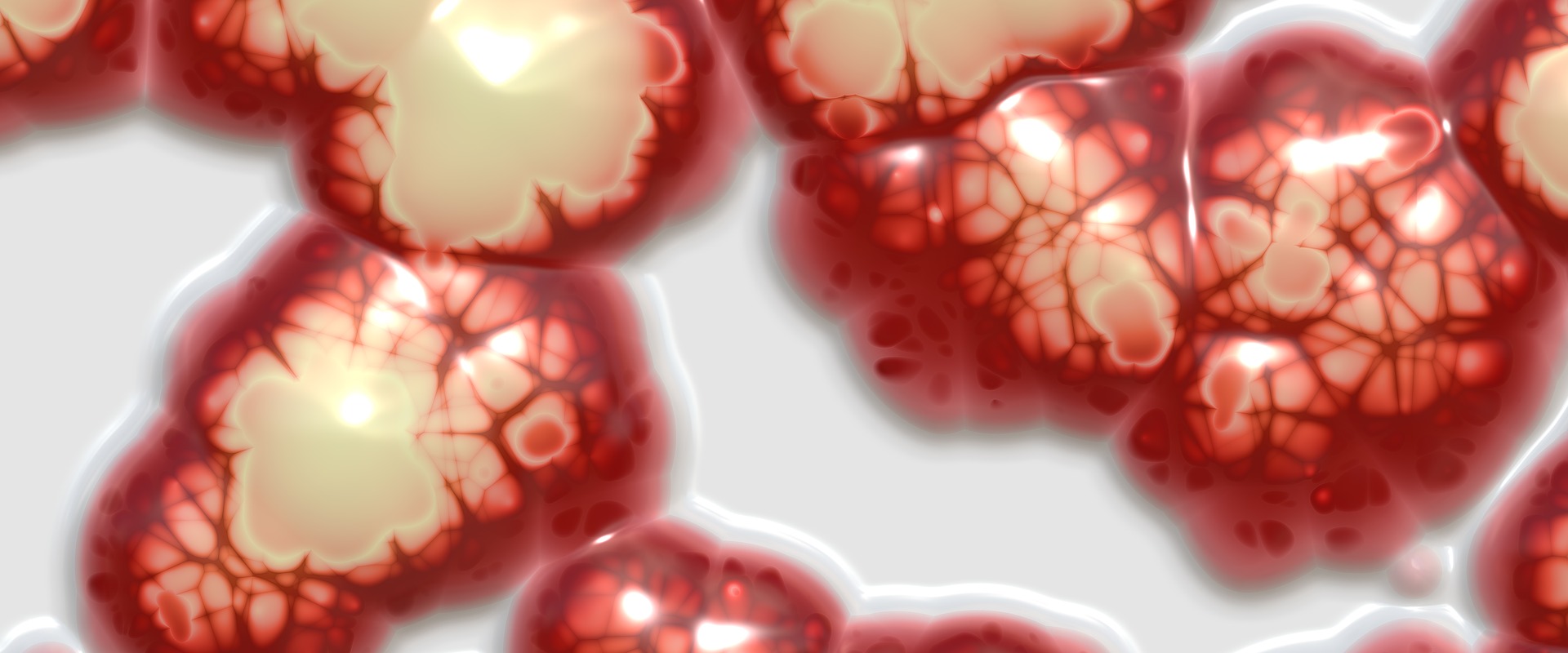 banner-1711724_1920.jpg