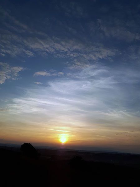 ab-und-an-darf-man-als-imker-den-ausblick-genießen